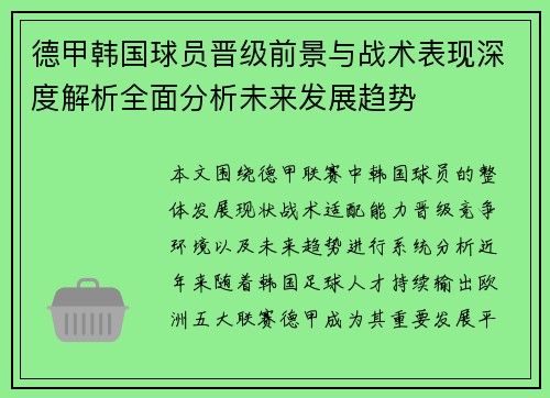 德甲韩国球员晋级前景与战术表现深度解析全面分析未来发展趋势